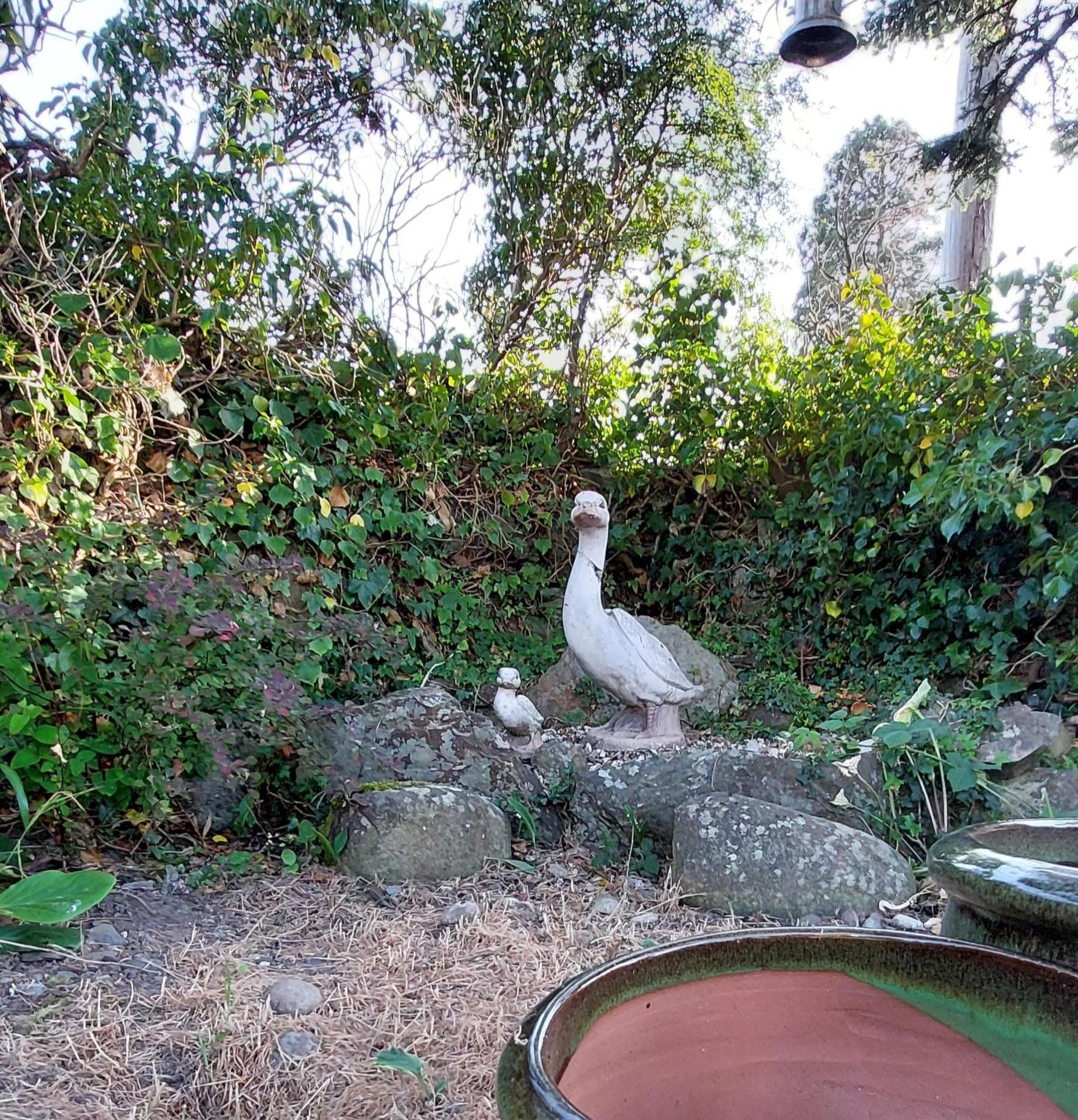 Glyn Isa Country House B&B And Self Catering Apartments Conwy Εξωτερικό φωτογραφία